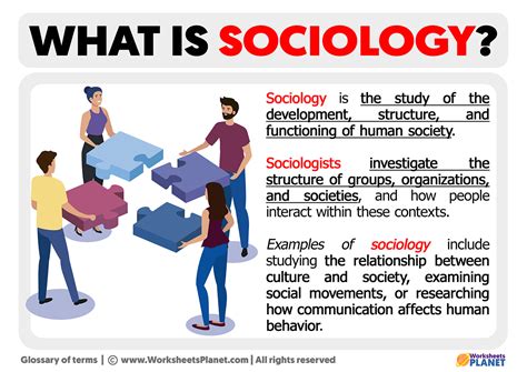 Sociology 